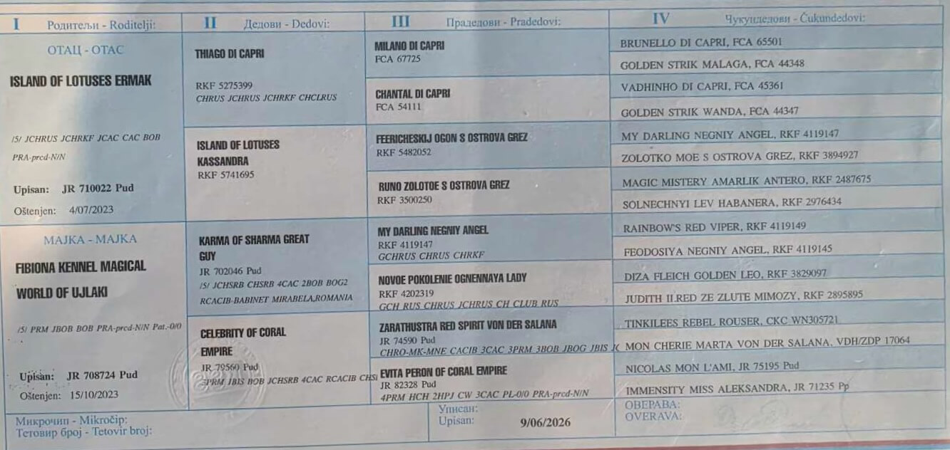 Pedigree of Nala